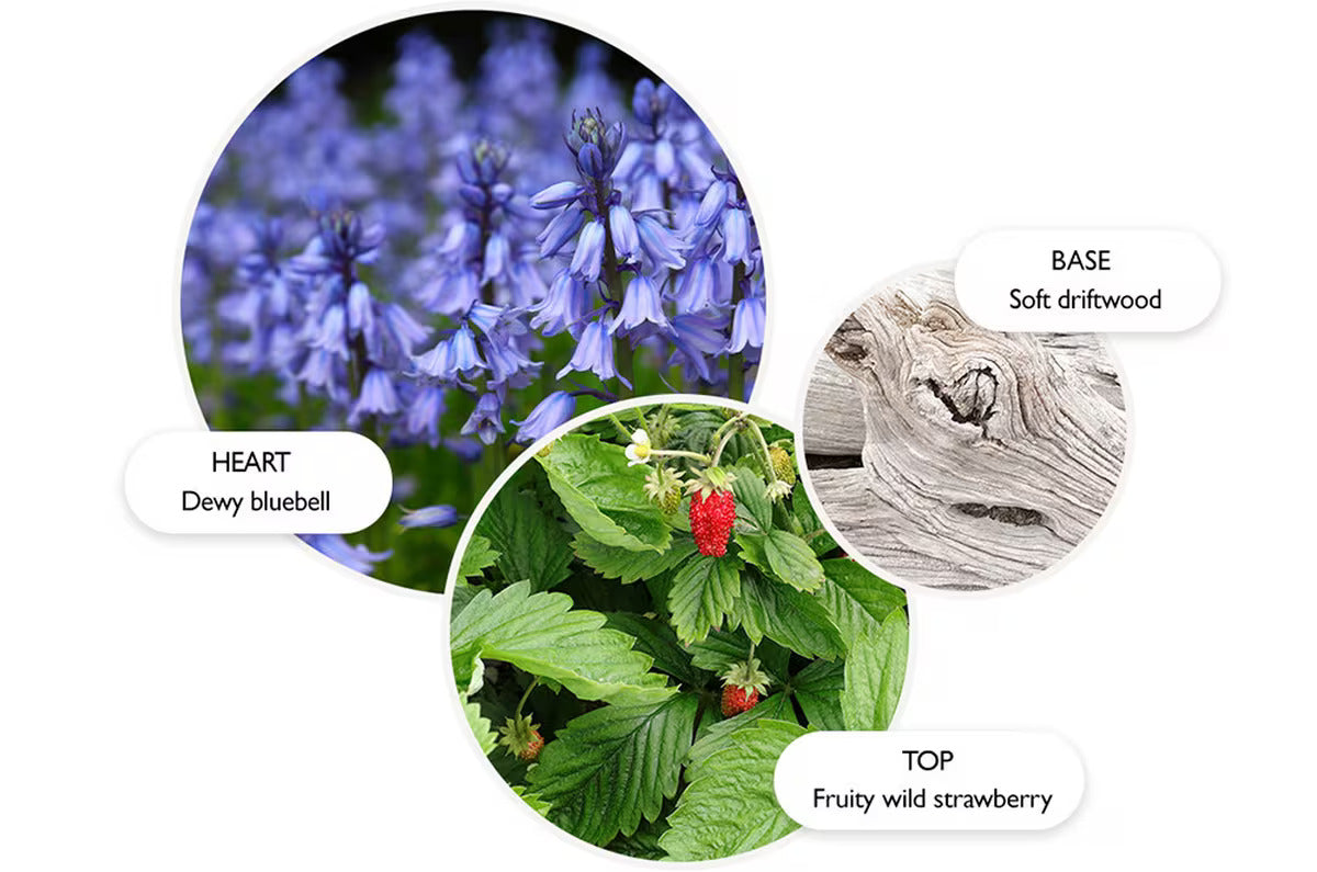 The Bluebell & Wild Strawberry Eau de Parfum by MoltonBrown Cyprus features a collage of three circular images representing its essence: HEART notes of dewy bluebells, BASE notes of soft driftwood, and TOP notes of wild strawberries on green leaves, enhanced by violet leaf absolute.