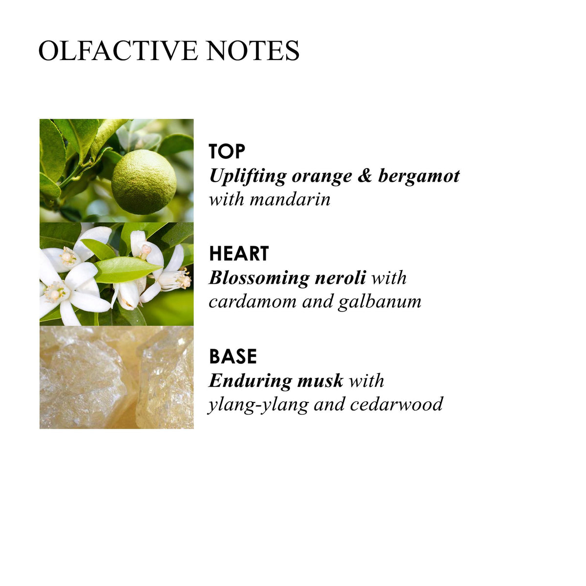 Image showcasing the MoltonBrown Cyprus Orange & Bergamot Luxury Candle 600g, highlighting its three scent layers: top notes of invigorating orange, bergamot, and mandarin; heart notes of blooming neroli, cardamom, and galbanum; and base notes of lasting musk, ylang-ylang, and cedarwood. This opulent citrus white-floral fragrance is ideal for a luxury candle experience.