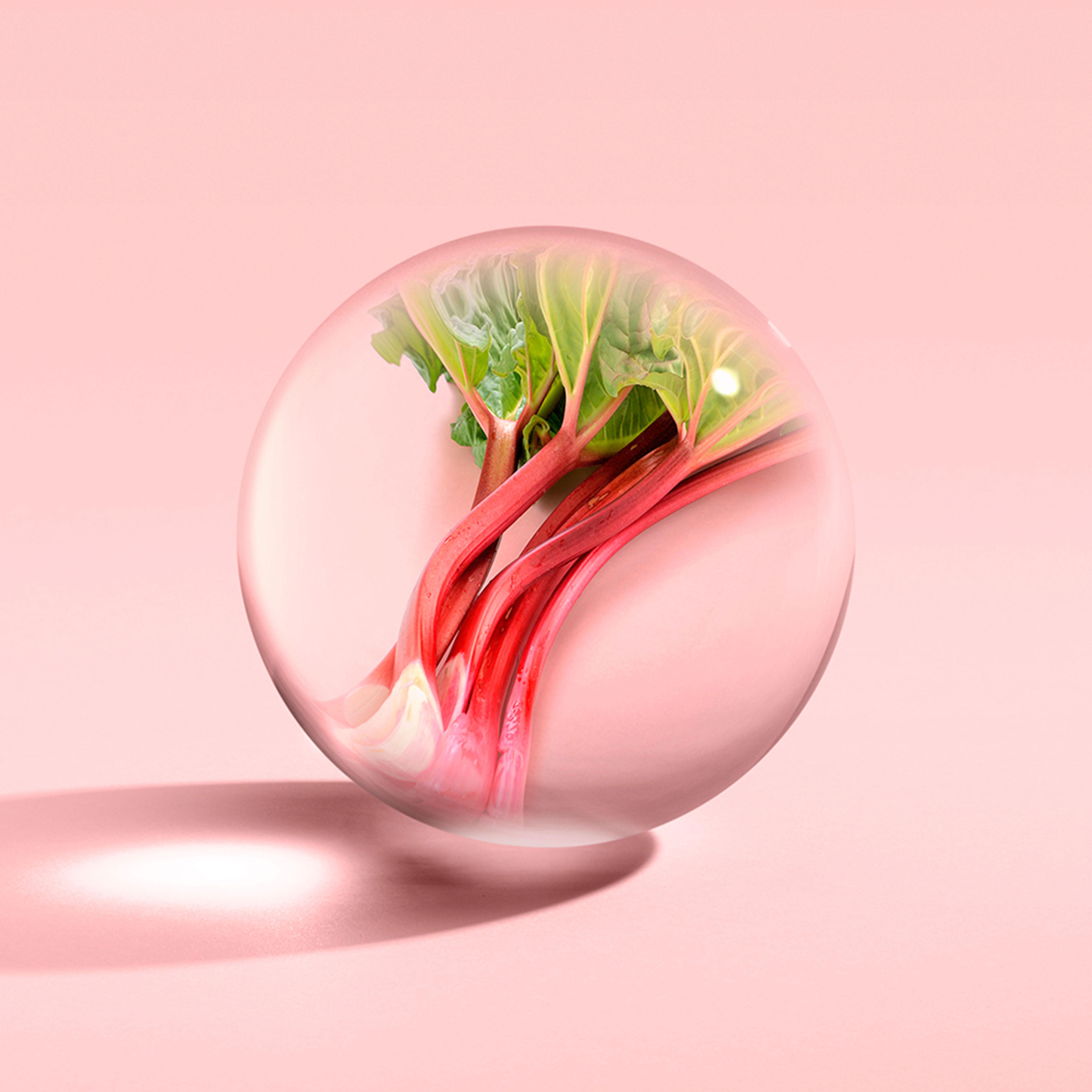 The "Delicious Rhubarb & Rose Aroma Reeds 150ml" by MoltonBrown Cyprus feature fresh rhubarb stalks and rose accents inside a clear, spherical bubble placed against a soft pink background with a gentle shadow on the surface.