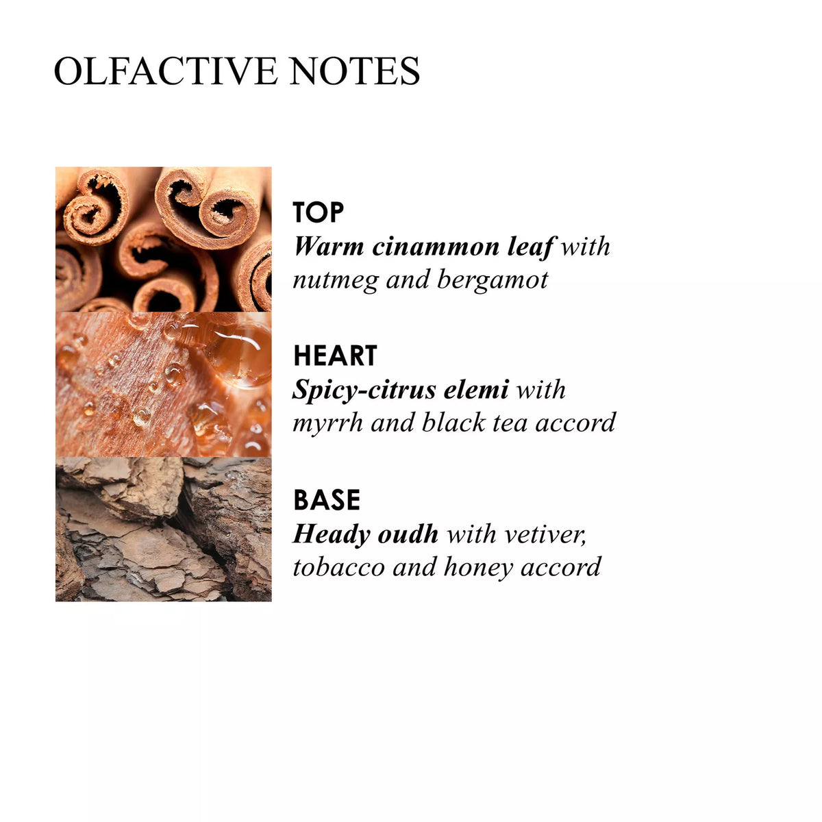 Image showcasing the olfactive notes of MoltonBrown Cyprus Mesmerising Oudh Accord & Gold Signature Candle: Top notes of cinnamon leaf, nutmeg, bergamot; heart of spicy-citrus elemi, myrrh, black tea accord; base of oudh, vetiver, tobacco. Cinnamon sticks and resin reflect luxury.