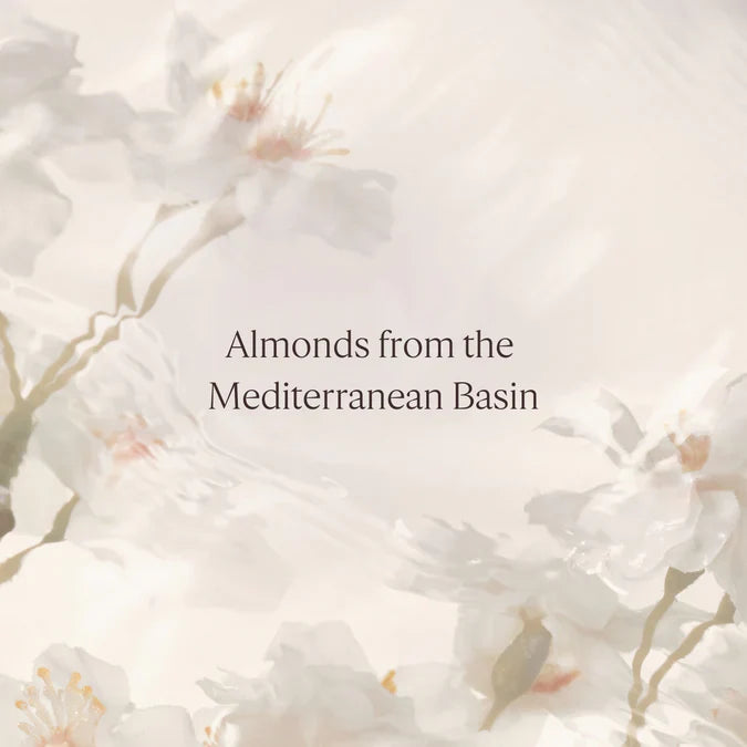 Almond Shower Oil - BEAUTYBERRRY 